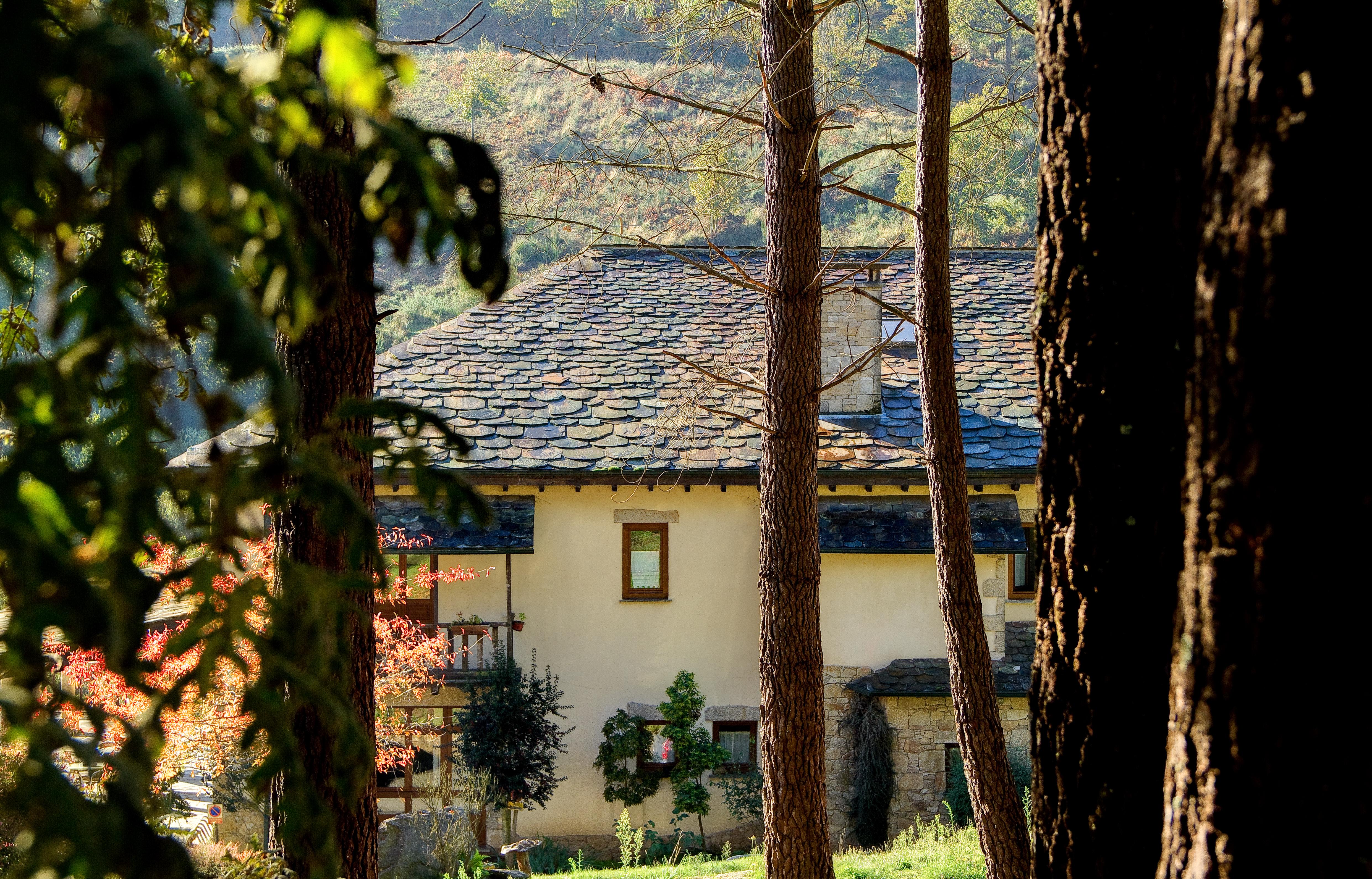 Hotel Balneario Rio Pambre ปาลัสเดเรย์ ภายนอก รูปภาพ